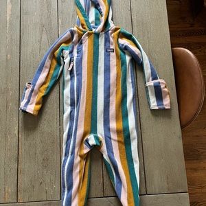 Patagonia micro bunting